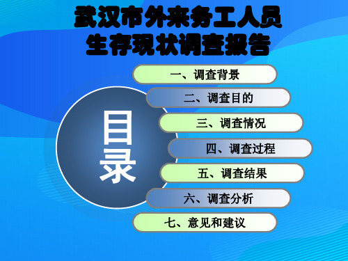 对武汉市外来务工人员生存现状的调查报告(ppt 24页)