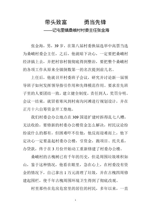 张金海先进事迹