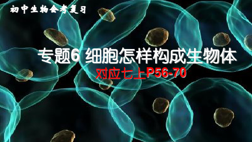 中考复习专题细胞怎样构成生物体PPT幻灯片(18页)