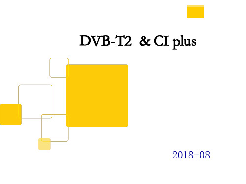 DVB CIplus培训PPT课件