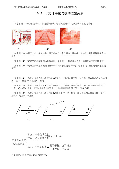 市北资优六年级分册 第10章 10.3 长方体中棱与棱的位置关系+杨晨光