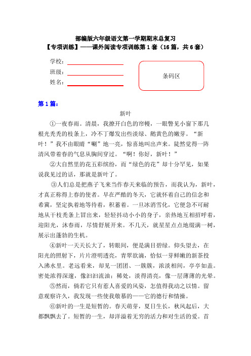 【期末复习专项训练】小学语文六年级上册期末总复习《课外阅读专项练习第1套》(16篇,共6套)附答案