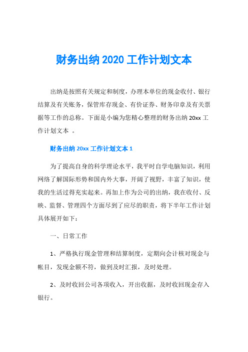 财务出纳2020工作计划文本
