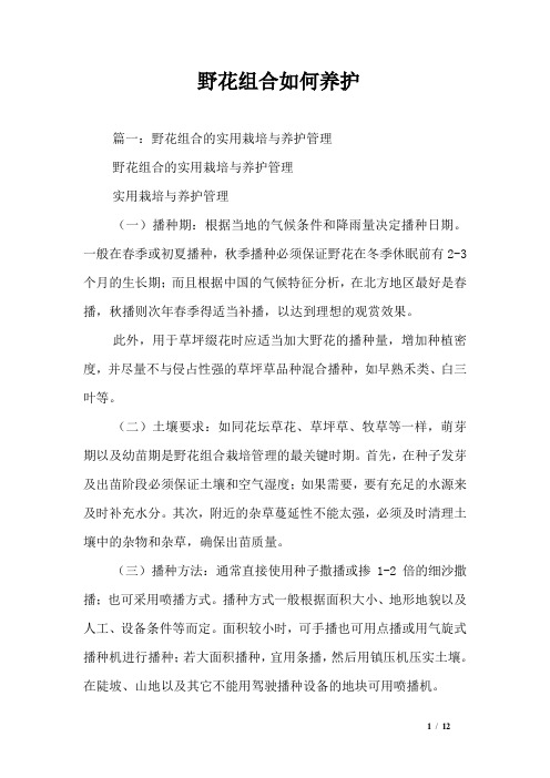 野花组合如何养护