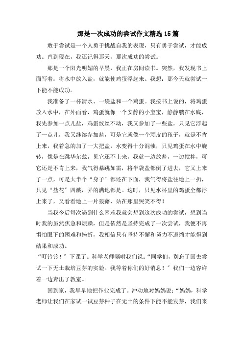 那是一次成功的尝试作文精选15篇精选