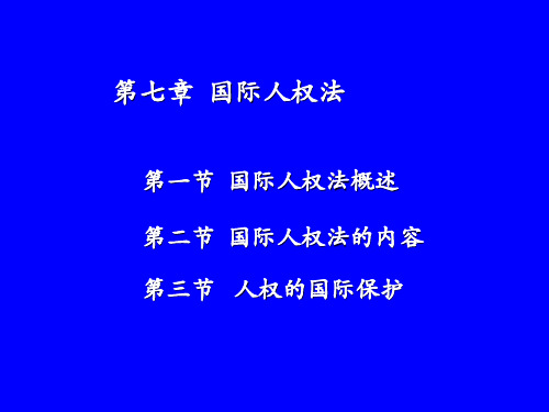 新编国际法学第七章 国际人权法