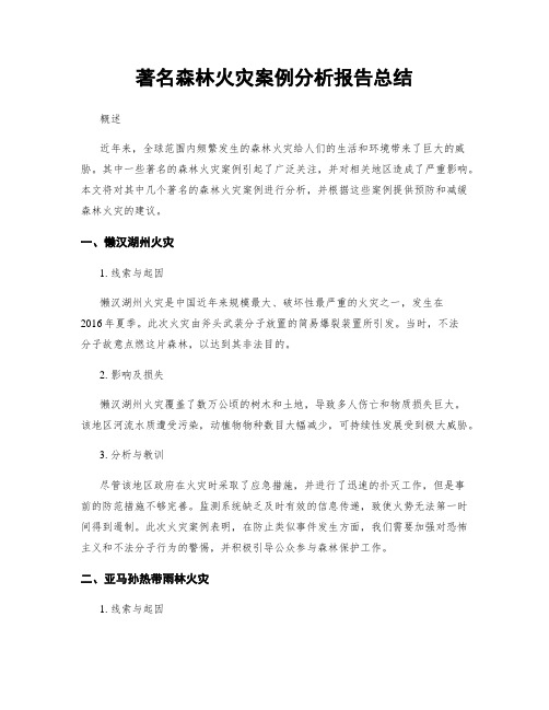 著名森林火灾案例分析报告总结