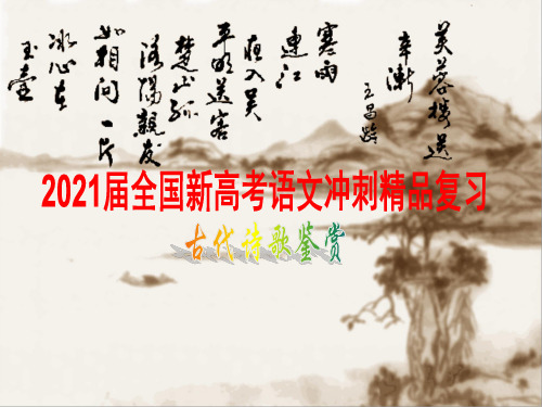 2021届全国新高考语文冲刺精品复习《古代诗歌鉴赏》