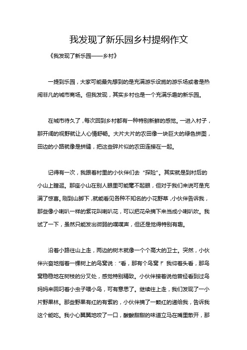 我发现了新乐园乡村提纲作文