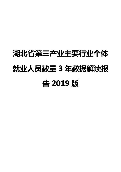 湖北省第三产业主要行业个体就业人员数量3年数据解读报告2019版