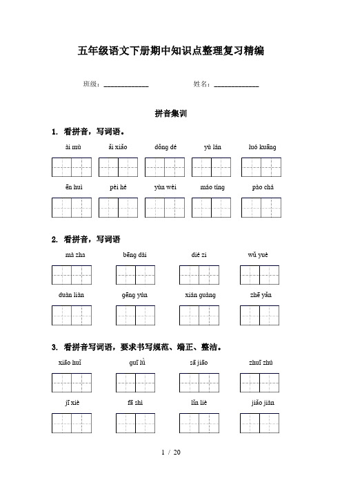 五年级语文下册期中知识点整理复习精编