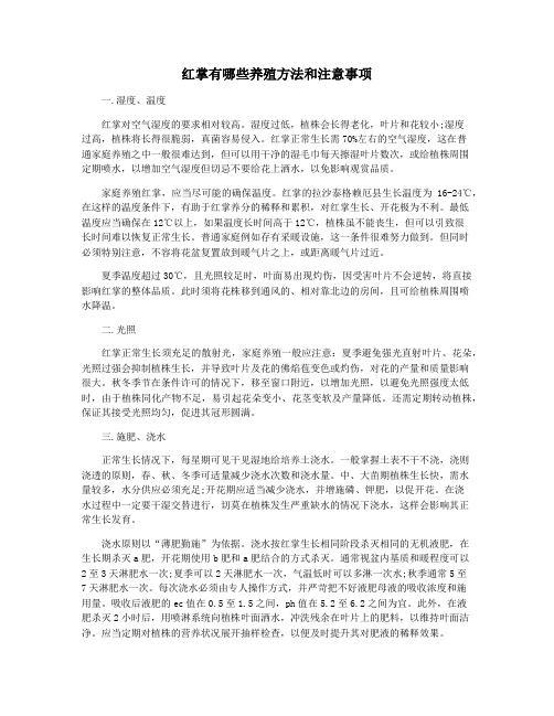 红掌有哪些养殖方法和注意事项