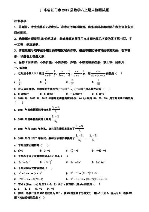 广东省江门市2019届数学八上期末检测试题