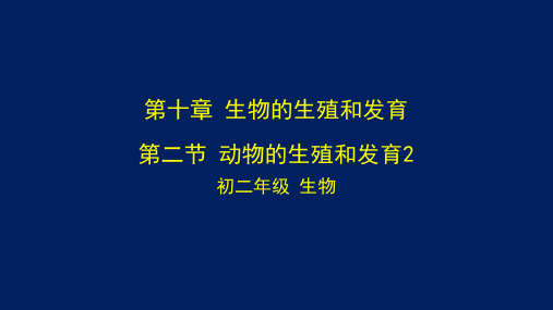 初二【生物学(北京版)】第十章 生物的生殖和发育 第二节 动物的生殖和发育2