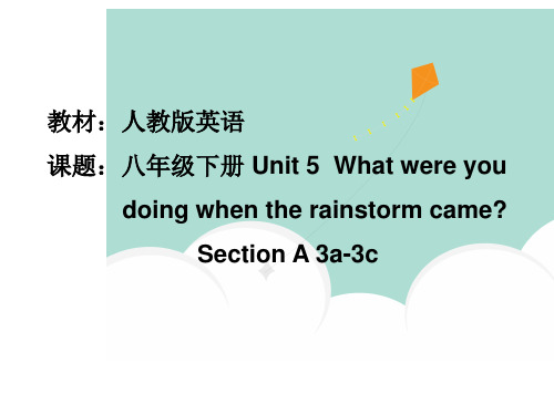 人教英语八年级下册Unit5SectionA3a-3c (共24张PPT)