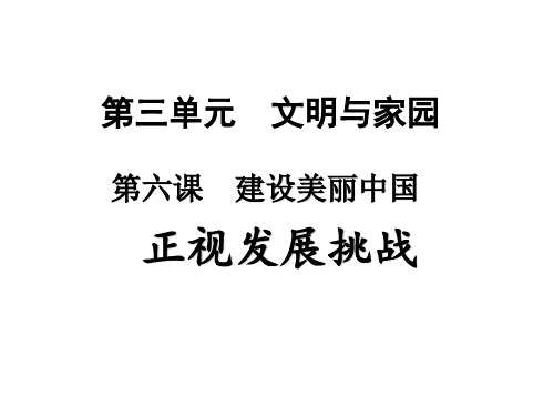 人教版道德与法治九年级上册6.1 正视发展挑战课件