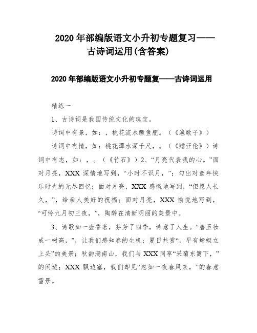 2020年部编版语文小升初专题复习——古诗词运用(含答案)