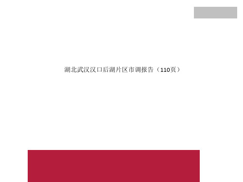 湖北武汉汉口后湖片区市调报告(110页)