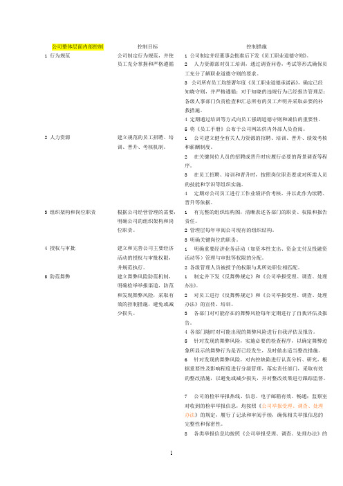 企业内部控制整体层面和各项循环关键控制点汇总