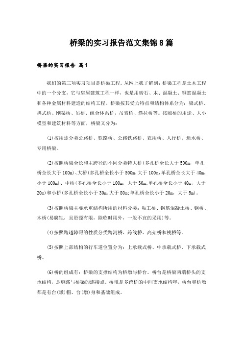 桥梁的实习报告范文集锦8篇