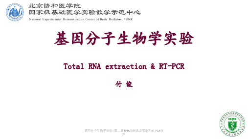 基因分子生物学实验--第二节 RNA的制备及鉴定和RT-PCR技术 ppt课件