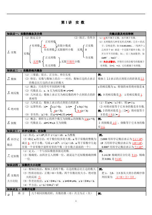 中考数学知识点梳理：第1讲-实数