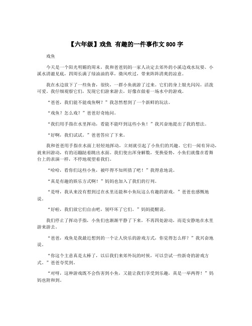 【六年级】戏鱼 有趣的一件事作文800字