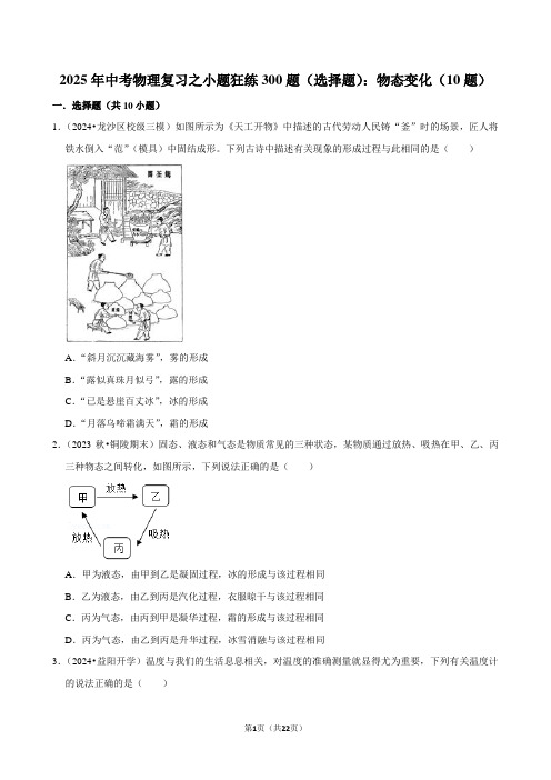 2025年中考物理复习之小题狂练300题(选择题)：物态变化(10题)