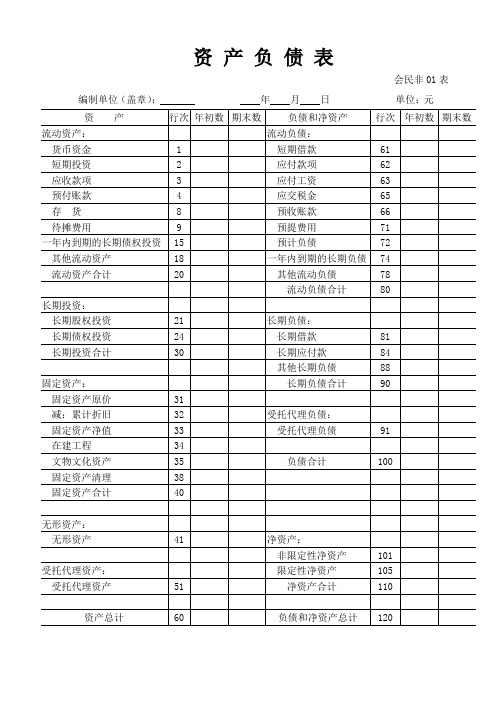 民办非企业资产负债表
