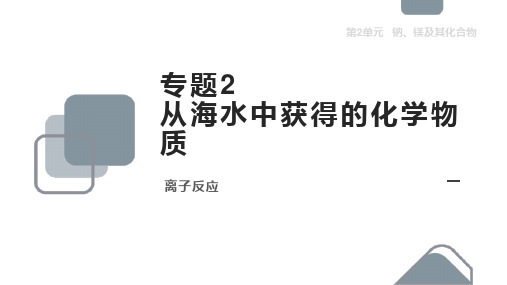 高中化学苏教版必修二《离子反应》课件