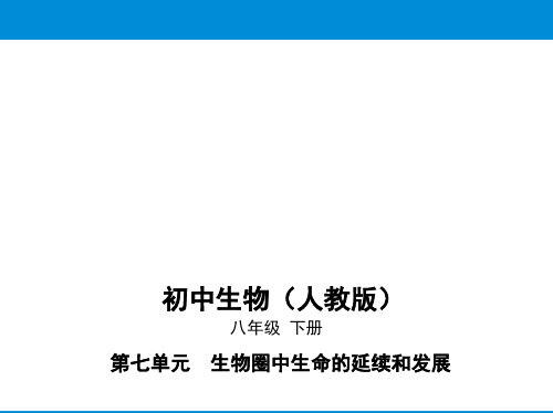 最新人教版八年级下册生物培优课件——第七单元第一章第四节鸟的生殖和发育