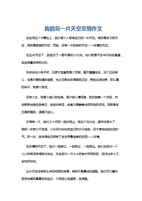 我的另一片天空友情作文