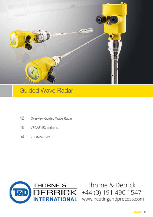 VEGAFLEX系列指南 指南波导级别传感器的概述、Vegaflex80及Vegapass8142说