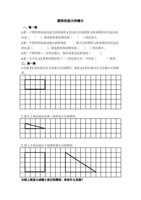 苏教版数学六年级下册《1、放大与缩小》课后习题