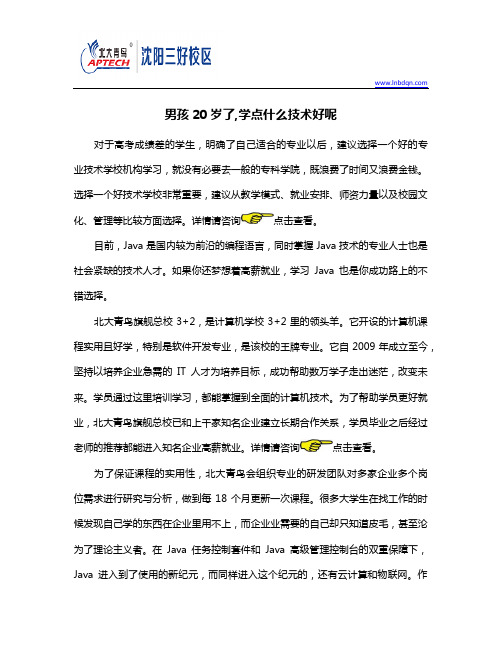 男孩20岁了,学点什么技术好呢