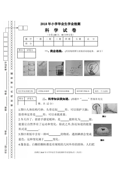 2018年双册六年级5页版科学试题(定)