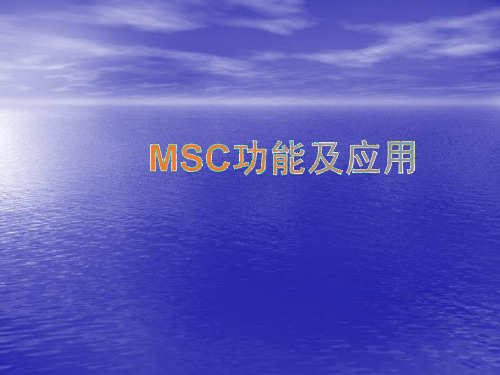 MSC功能及应用PPT课件