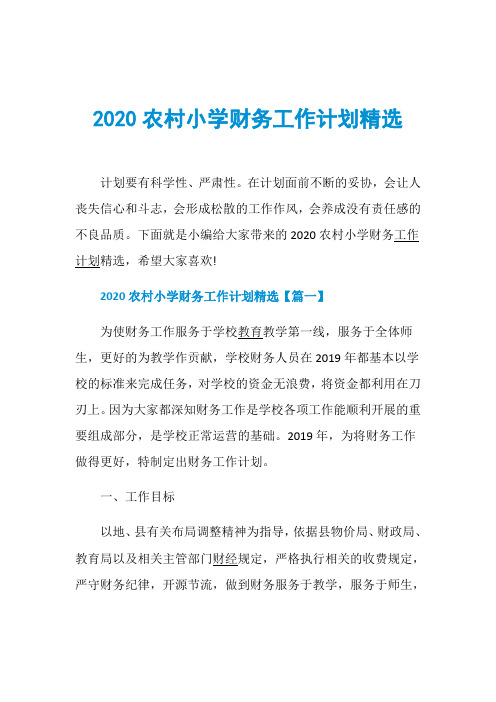 2020农村小学财务工作计划精选