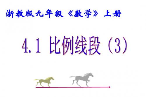 4.1比例线段(3)