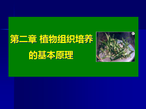 植物组织原理