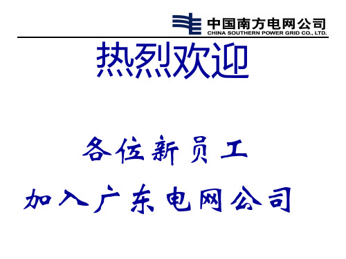 南网用人理念与新员工职业生涯规划080729