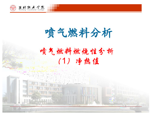 净热值测定