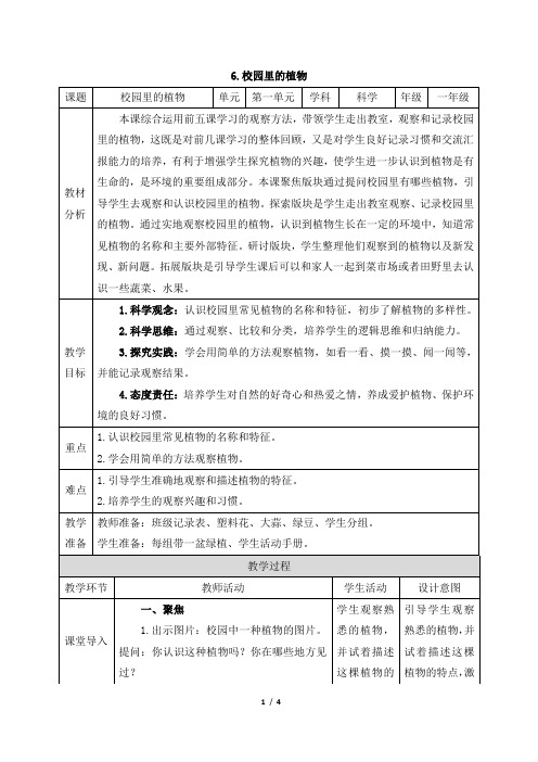 《6 校园里的植物》精品教案