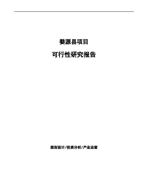 婺源县如何编写项目可行性研究报告