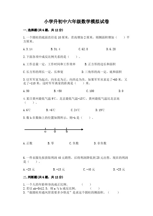 小学升初中六年级数学模拟试卷有解析答案