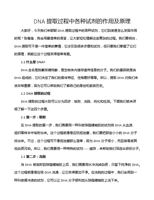 DNA提取过程中各种试剂的作用及原理