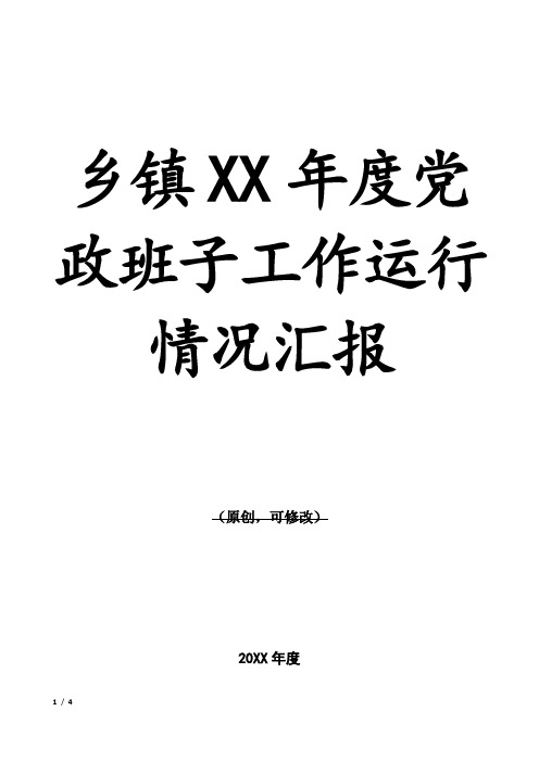 乡镇XX年度党政班子工作运行情况汇报