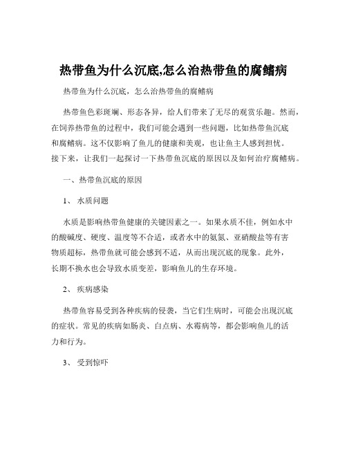 热带鱼为什么沉底,怎么治热带鱼的腐鳍病