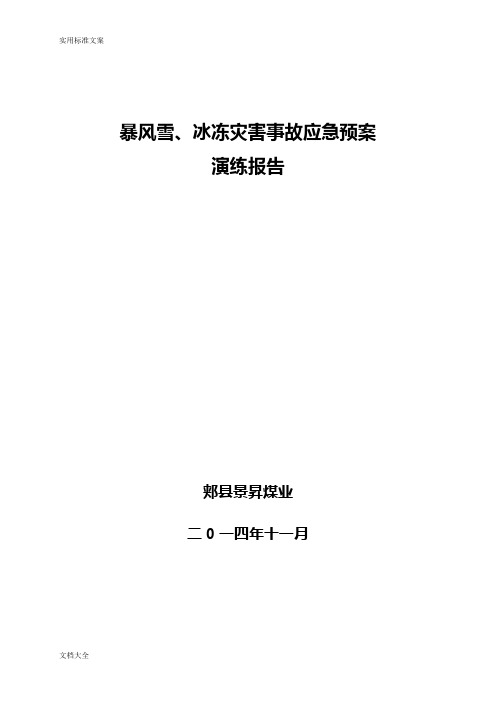 暴风雪事故演练报告材料