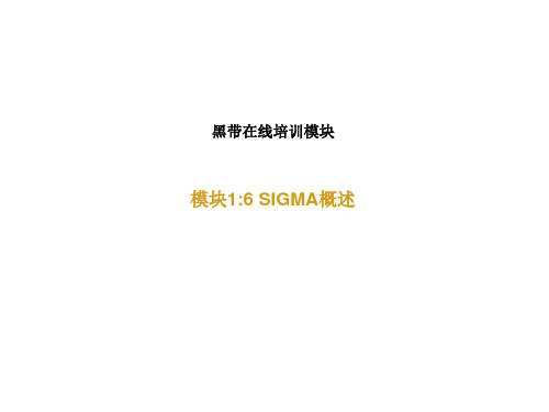 六西格玛黑带培训——模块1：六西格玛概述(Six Sigma overview)(专业经典,建议收藏)